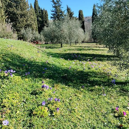 Agriturismo Natura E Salute San Gimignano Eksteriør billede