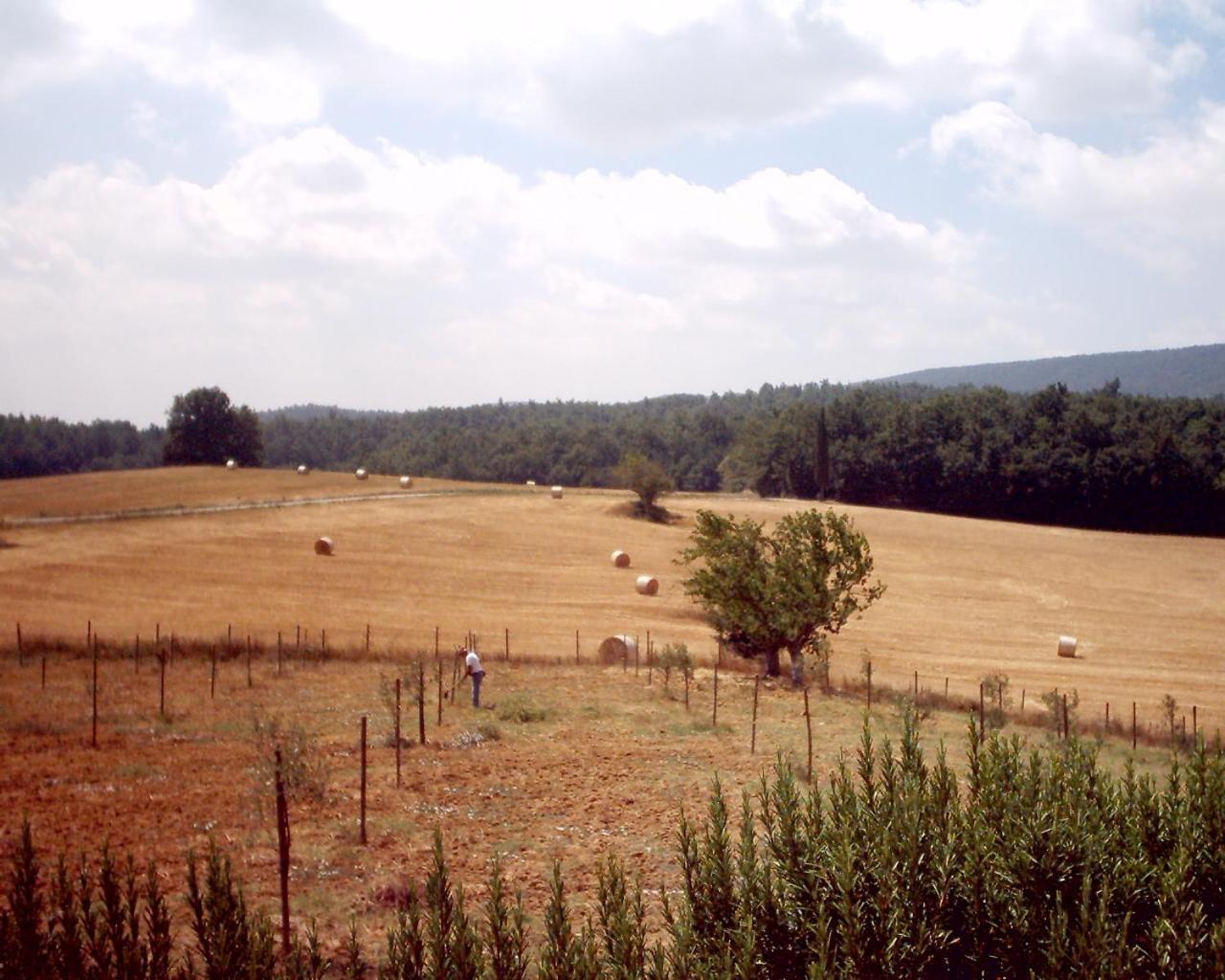 Agriturismo Natura E Salute San Gimignano Eksteriør billede