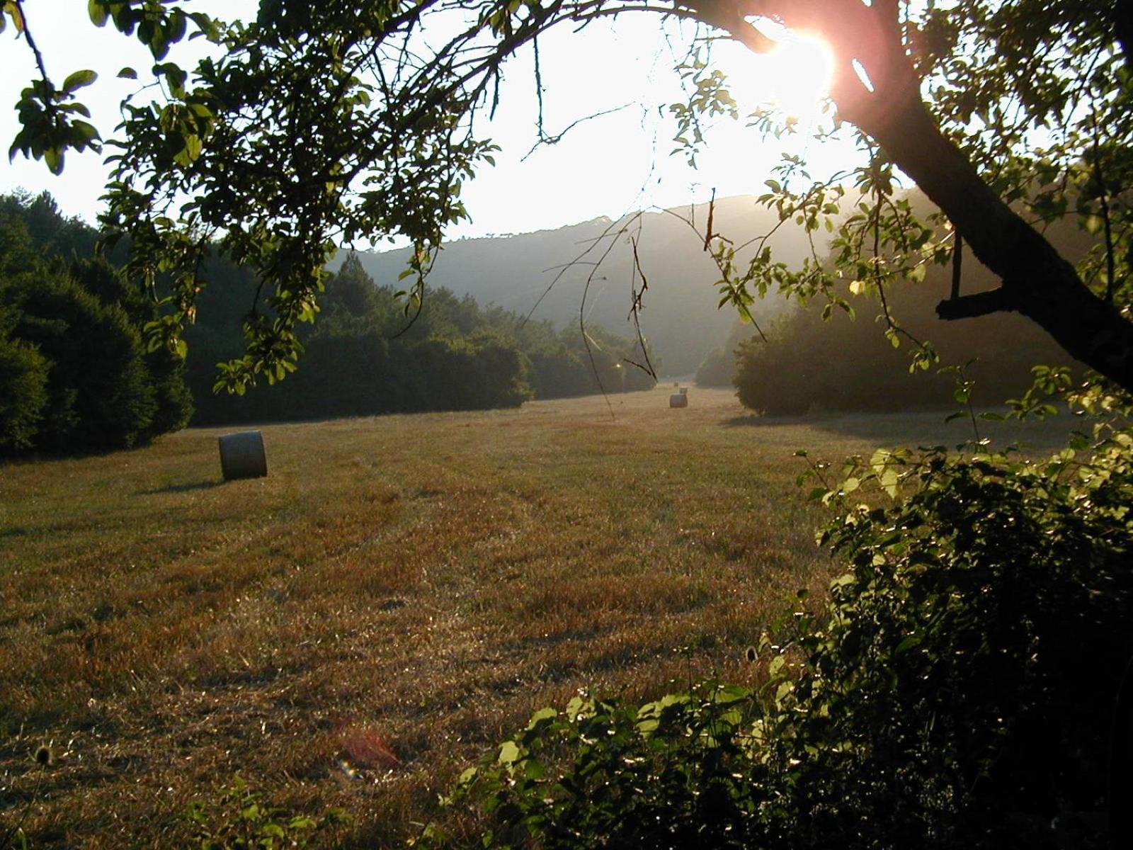 Agriturismo Natura E Salute San Gimignano Eksteriør billede