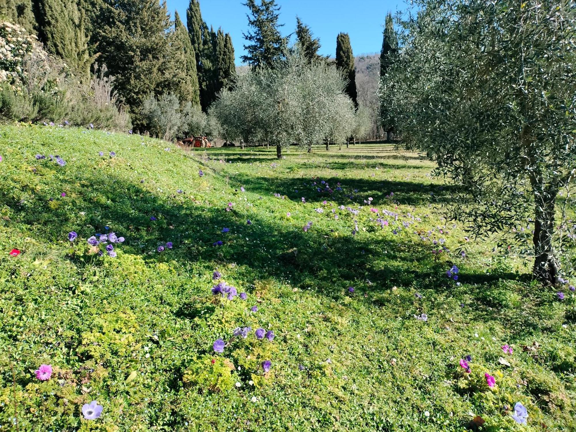 Agriturismo Natura E Salute San Gimignano Eksteriør billede
