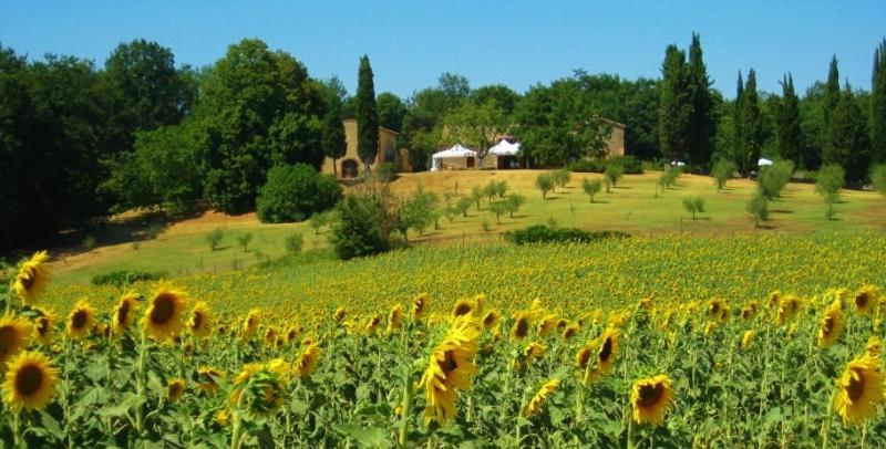 Agriturismo Natura E Salute San Gimignano Eksteriør billede